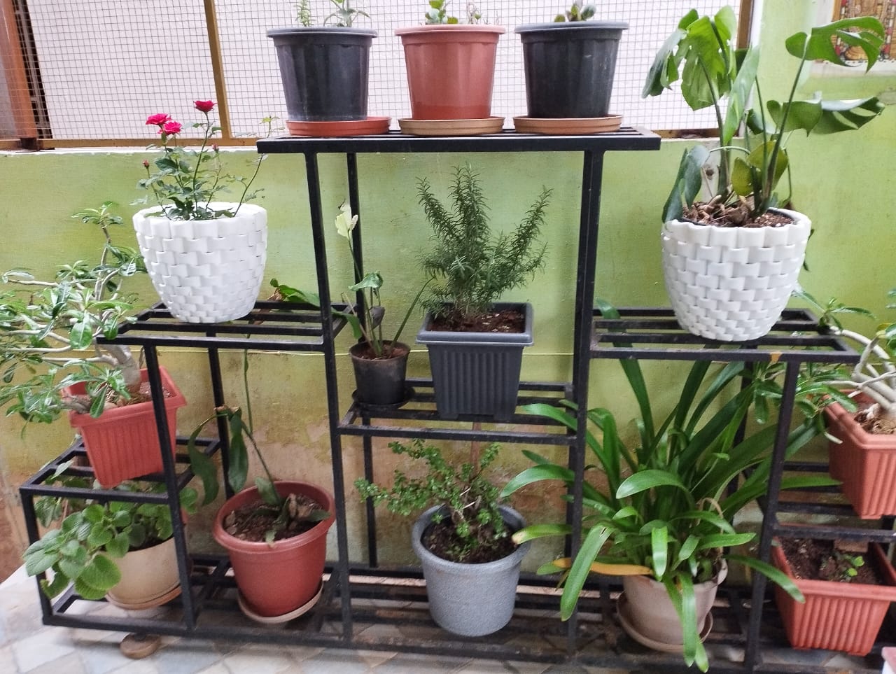 Multi layer plant stand